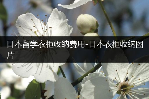 日本留学衣柜收纳费用-日本衣柜收纳图片