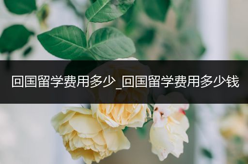 回国留学费用多少_回国留学费用多少钱