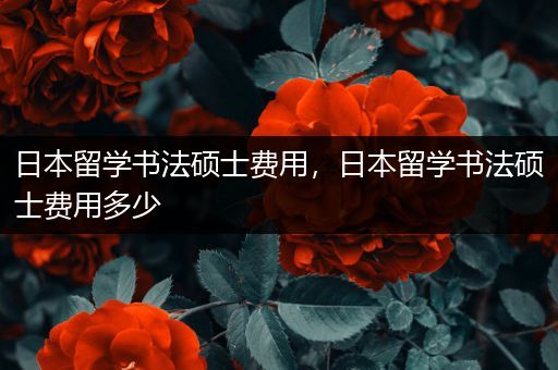 日本留学书法硕士费用，日本留学书法硕士费用多少