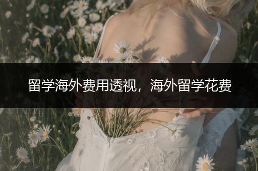 留学海外费用透视，海外留学花费