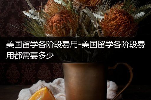 美国留学各阶段费用-美国留学各阶段费用都需要多少