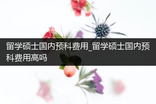 留学硕士国内预科费用_留学硕士国内预科费用高吗