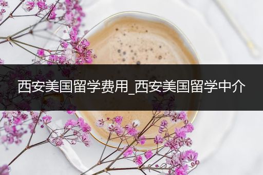 西安美国留学费用_西安美国留学中介