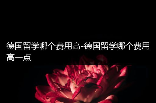 德国留学哪个费用高-德国留学哪个费用高一点