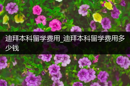迪拜本科留学费用_迪拜本科留学费用多少钱