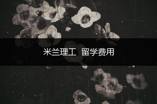 米兰理工  留学费用