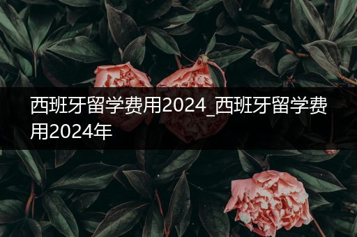 西班牙留学费用2024_西班牙留学费用2024年