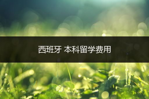 西班牙 本科留学费用