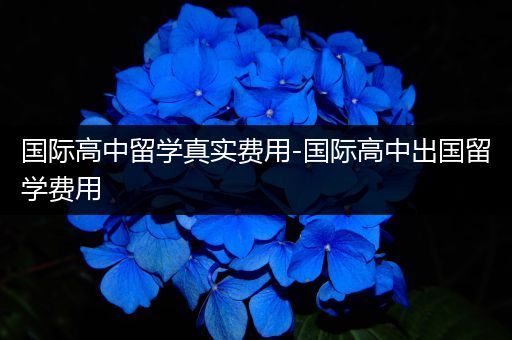国际高中留学真实费用-国际高中出国留学费用