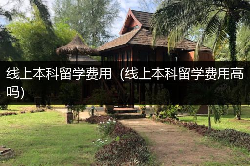 线上本科留学费用（线上本科留学费用高吗）