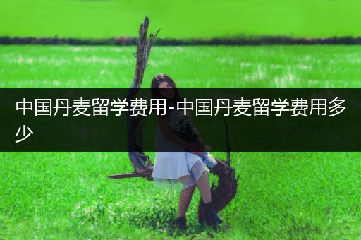 中国丹麦留学费用-中国丹麦留学费用多少