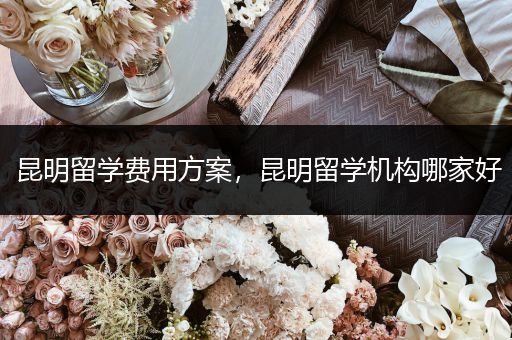 昆明留学费用方案，昆明留学机构哪家好