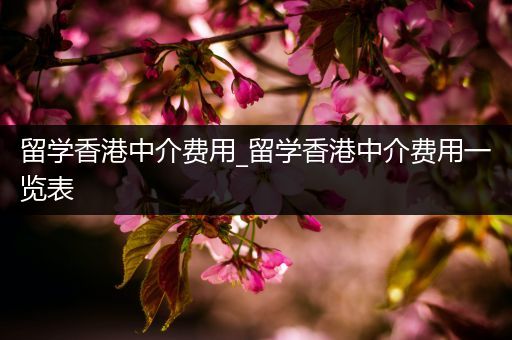 留学香港中介费用_留学香港中介费用一览表