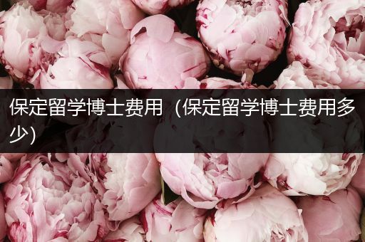保定留学博士费用（保定留学博士费用多少）