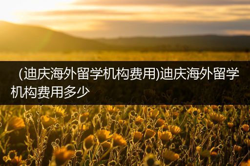 （迪庆海外留学机构费用)迪庆海外留学机构费用多少