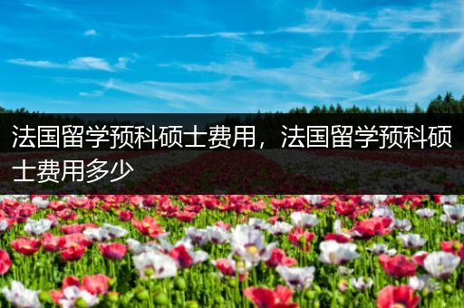 法国留学预科硕士费用，法国留学预科硕士费用多少