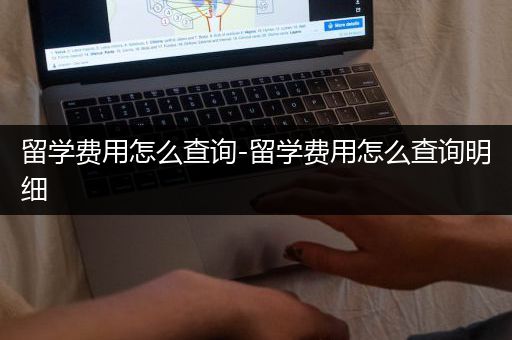 留学费用怎么查询-留学费用怎么查询明细