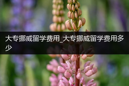大专挪威留学费用_大专挪威留学费用多少