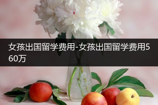女孩出国留学费用-女孩出国留学费用560万