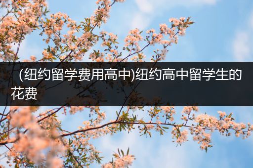 （纽约留学费用高中)纽约高中留学生的花费