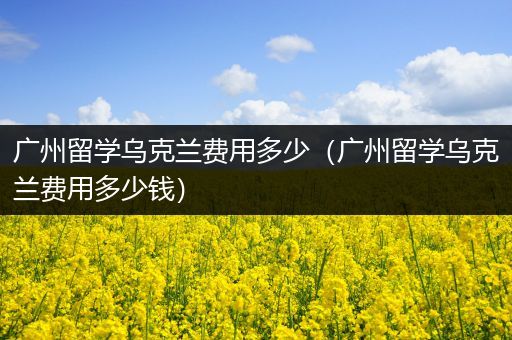 广州留学乌克兰费用多少（广州留学乌克兰费用多少钱）