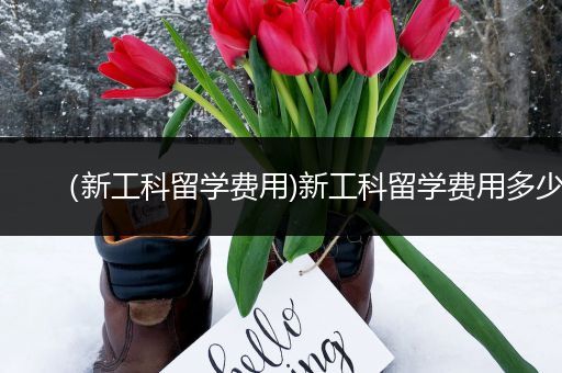 （新工科留学费用)新工科留学费用多少