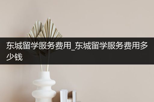 东城留学服务费用_东城留学服务费用多少钱