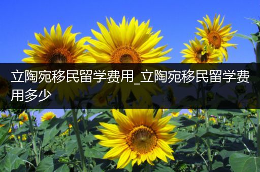 立陶宛移民留学费用_立陶宛移民留学费用多少