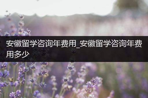安徽留学咨询年费用_安徽留学咨询年费用多少