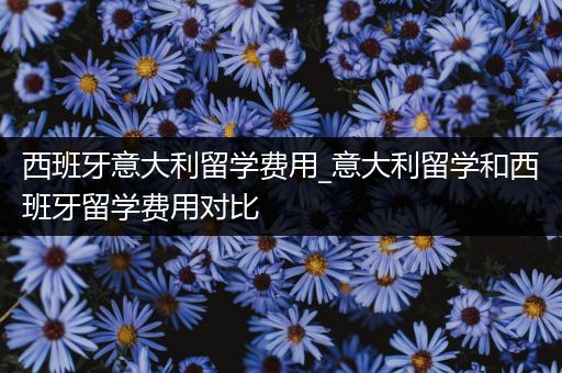 西班牙意大利留学费用_意大利留学和西班牙留学费用对比