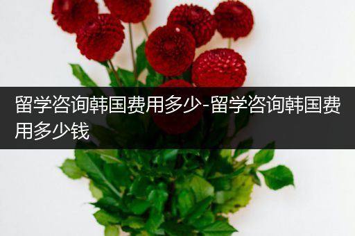 留学咨询韩国费用多少-留学咨询韩国费用多少钱