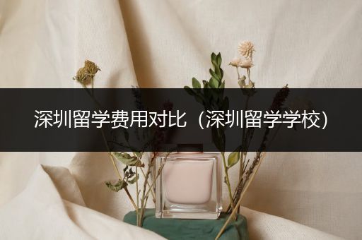 深圳留学费用对比（深圳留学学校）
