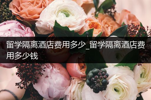 留学隔离酒店费用多少_留学隔离酒店费用多少钱