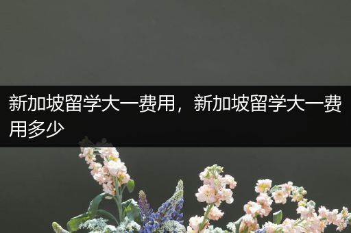 新加坡留学大一费用，新加坡留学大一费用多少