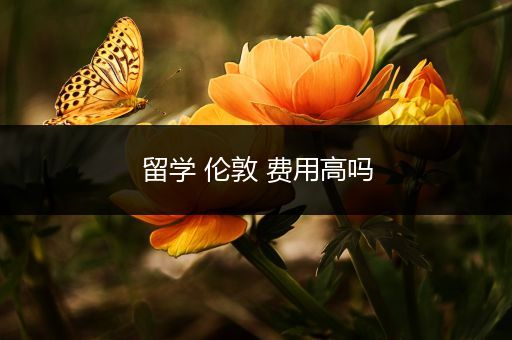 留学 伦敦 费用高吗