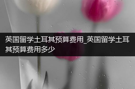 英国留学土耳其预算费用_英国留学土耳其预算费用多少