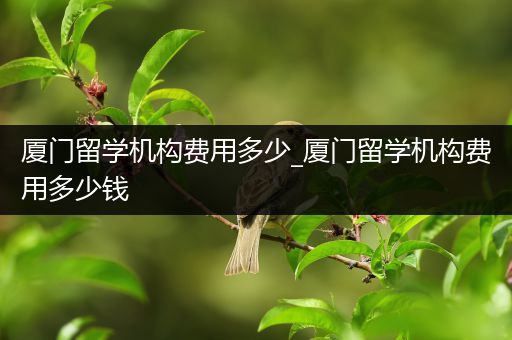 厦门留学机构费用多少_厦门留学机构费用多少钱