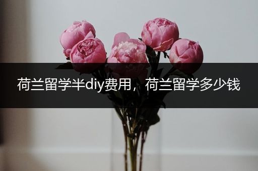 荷兰留学半diy费用，荷兰留学多少钱