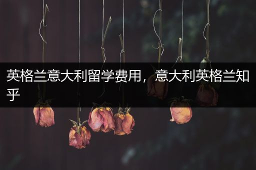 英格兰意大利留学费用，意大利英格兰知乎