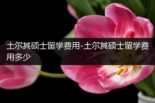 土尔其硕士留学费用-土尔其硕士留学费用多少
