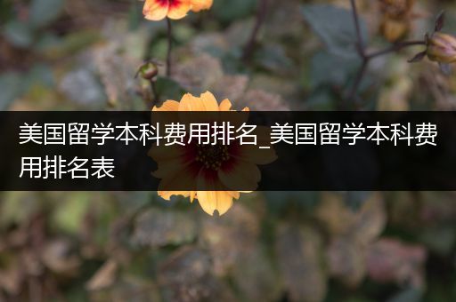 美国留学本科费用排名_美国留学本科费用排名表