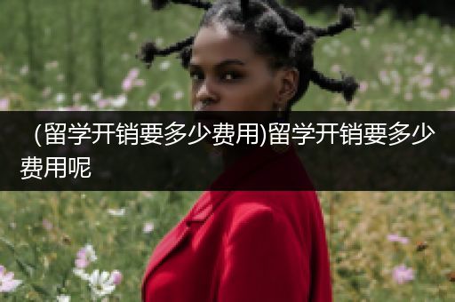（留学开销要多少费用)留学开销要多少费用呢