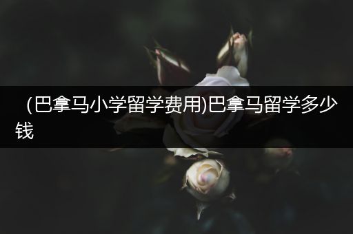 （巴拿马小学留学费用)巴拿马留学多少钱