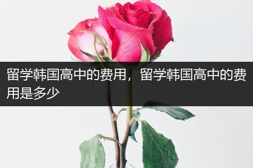 留学韩国高中的费用，留学韩国高中的费用是多少