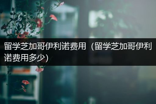 留学芝加哥伊利诺费用（留学芝加哥伊利诺费用多少）