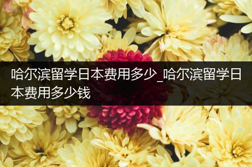哈尔滨留学日本费用多少_哈尔滨留学日本费用多少钱
