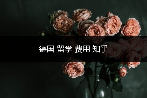 德国 留学 费用 知乎