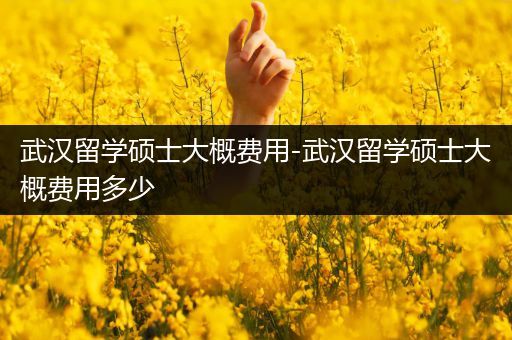 武汉留学硕士大概费用-武汉留学硕士大概费用多少