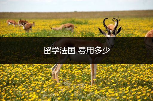 留学法国 费用多少