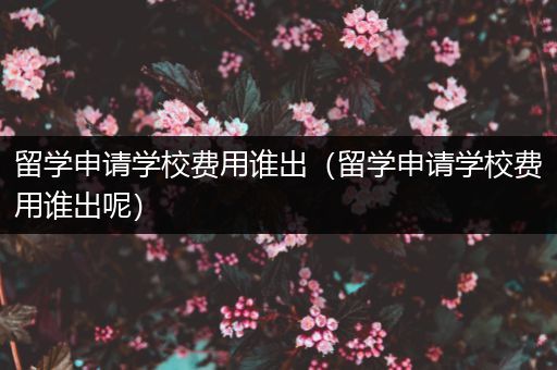 留学申请学校费用谁出（留学申请学校费用谁出呢）